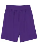 N5255 A4 9 Inch Adult Lined Micromesh Shorts PURPLE
