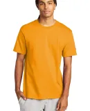 T425 Champion Adult Short-Sleeve T-Shirt T525C in Gold