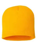 SP08 Sportsman 8 Inch Knit Beanie  in Gold