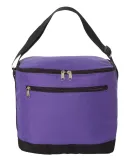 1695 Liberty Bags - Joseph Twelve-Pack Cooler PURPLE