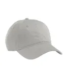 econscious EC7000 Organic Twill Dad Hat DOLPHIN