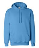 1254 Badger - Hooded Sweatshirt in Columbia blue