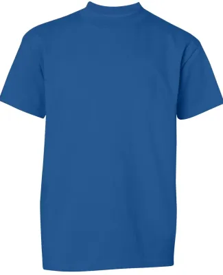 Champion T435 Youth Short Sleeve Tagless T-Shirt Royal Blue