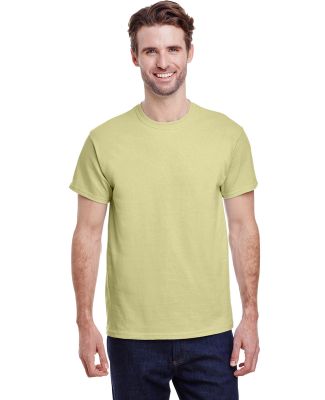 Gildan 2000 Wholesale Ultra Cotton Plain T-Shirt G in Pistachio