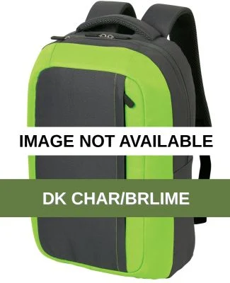 242 BG201 Port Authority® Computer Daypack Dk Char/BrLime