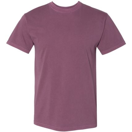 Next Level Apparel 7410 Inspired Dye Crew in Shiraz