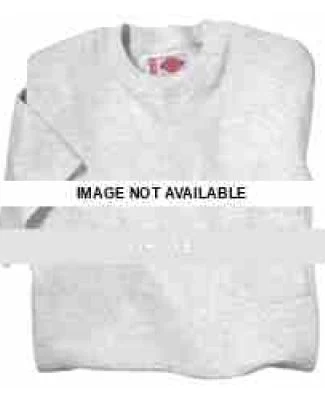 1144624 Dickies 2 pack T-shirts  Ash Grey