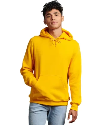 Russel Athletic 695HBM Dri Power® Hooded Pullover in Gold