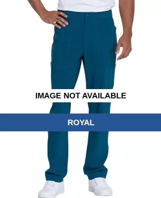 Dickies Medical  DK205   - Men's Straight Leg Zip  Royal