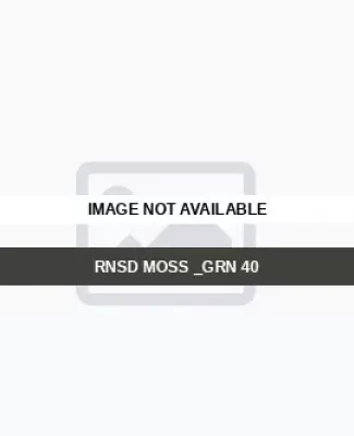Dickies WR351 Men's 11 Relaxed Fit Lightweight Rip RNSD MOSS _GRN 40