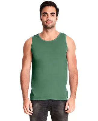 Next Level Apparel 7433 Adult Inspired Dye Tank in Clover