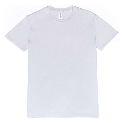 Threadfast Apparel 100A Unisex Ultimate T-Shirt in Silver