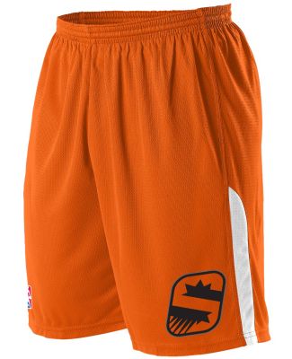 Alleson Athletic A205LY Youth NBA Logo'd Game Shor in Phoenix suns