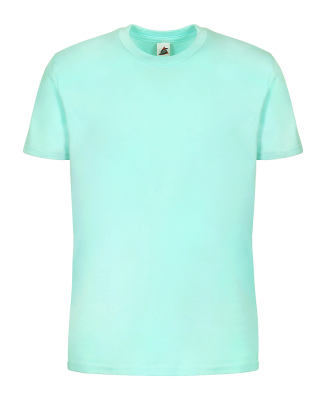 Smart Blanks 3502 YOUTH PREMIUM TEE in Celadon