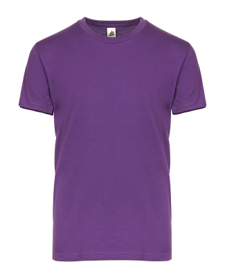 Smart Blanks 3502 YOUTH PREMIUM TEE in Purple