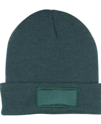 Promo Goods  HW110 Knit Beanie With Patch in Hunter green