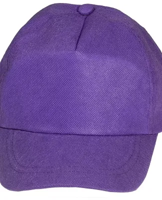 Promo Goods  PL-4290 Econo Value Cap in Purple