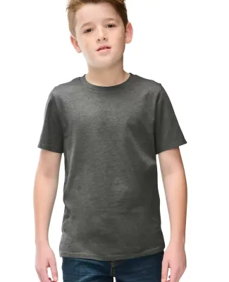 District Clothing DT108Y District Youth Perfect Bl in Htdchar
