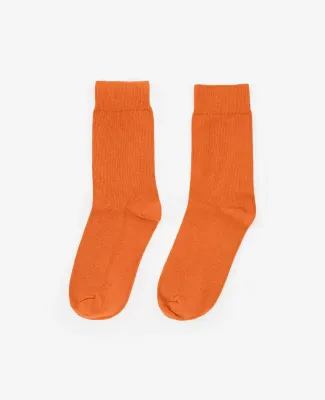 Los Angeles Apparel SMRSOCK Unisex Summer Sock in Tangerine