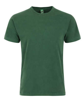 Smart Blanks PD200 ADULT VINTAGE TEE in Forest