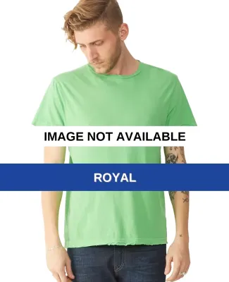 Alternative Apparel 1075 Men’s Destroyed T-Shirt Royal