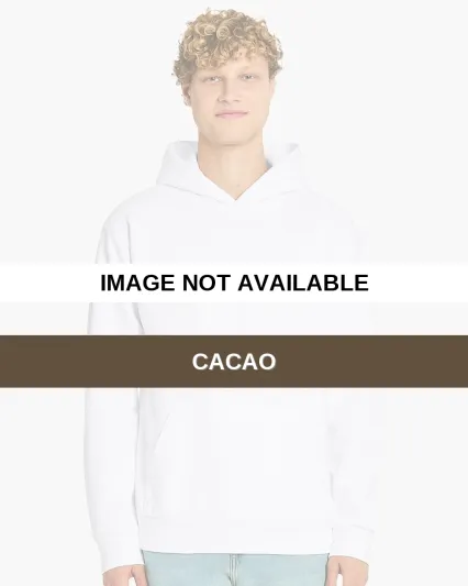 Lane Seven Apparel LS24001 Unisex Element Hooded S Cacao