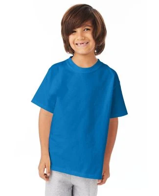 Hanes 5450 Authentic Tagless Youth T-shirt in Sapphire