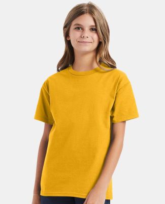 Hanes 5450 Authentic Tagless Youth T-shirt in Gold