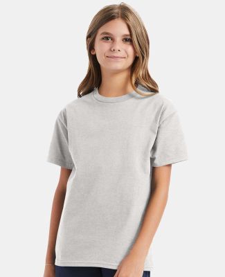 Hanes 5450 Authentic Tagless Youth T-shirt in Ash