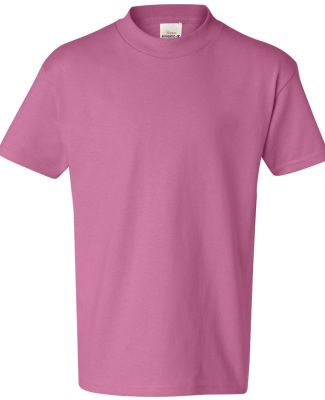 Hanes 5450 Authentic Tagless Youth T-shirt in Pink