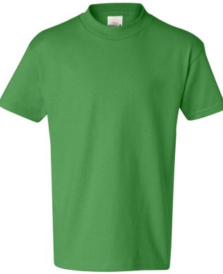 Hanes 5450 Authentic Tagless Youth T-shirt in Shamrock green