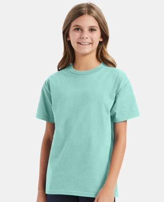 Hanes 5450 Authentic Tagless Youth T-shirt in Clean mint