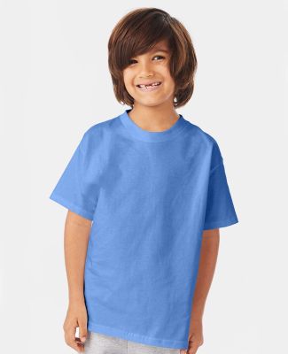 Hanes 5450 Authentic Tagless Youth T-shirt in Carolina blue