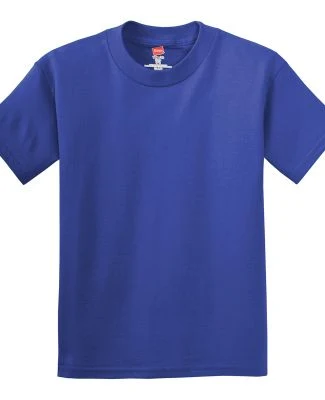 Hanes 5450 Authentic Tagless Youth T-shirt in Deep royal