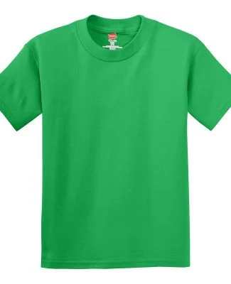 Hanes 5450 Authentic Tagless Youth T-shirt in Kelly green