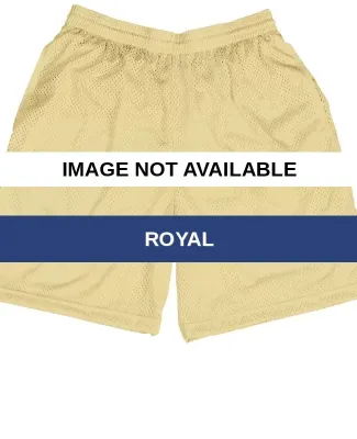 7210 Badger Coach's Shorts Royal