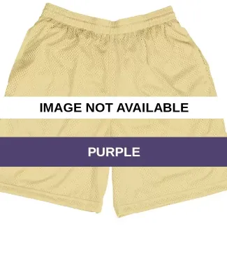 7210 Badger Coach's Shorts Purple
