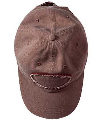 Authentic Pigment 1917 Raw-Edge Dad Hat in Java front view