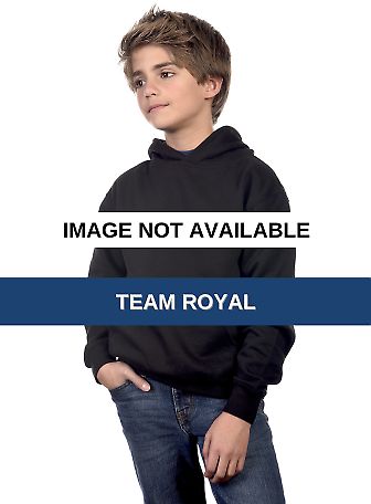 Cotton Heritage Y2500 PREMIUM PULLOVER YOUTH HOODI Team Royal front view