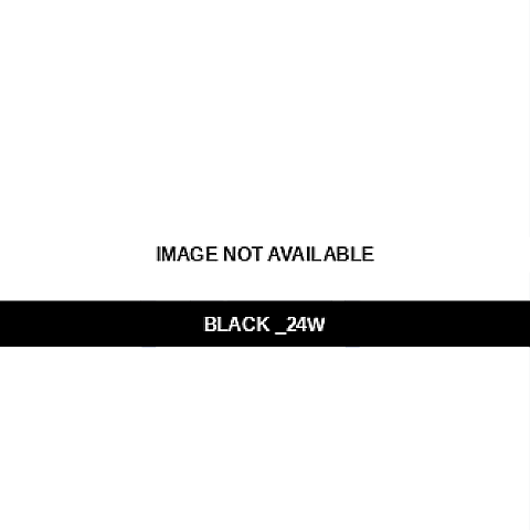 Dickies Workwear FPW221 Ladies' Plus Size Premium  BLACK _24W front view
