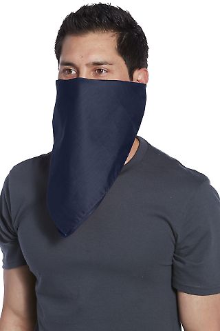 Port Authority Clothing C960 Port Authority Co in Navy front view
