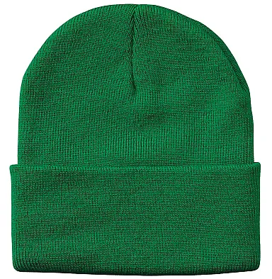 Sportsman SP12 Solid 12" Cuffed Beanie in Kelly front view