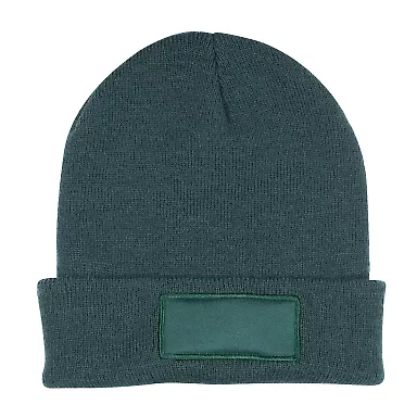 Promo Goods  HW110 Knit Beanie With Patch in Hunter green front view