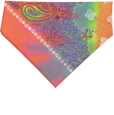 3905 Doggie Skins Bandana in Tye dye paisley front view