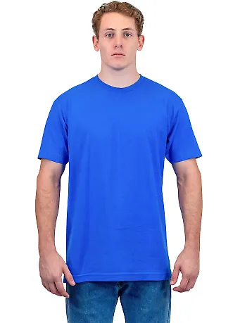 Tultex 202 Unisex Tee with a Tear-Away Tag  Royal front view