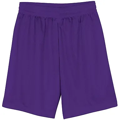 N5255 A4 9 Inch Adult Lined Micromesh Shorts PURPLE front view