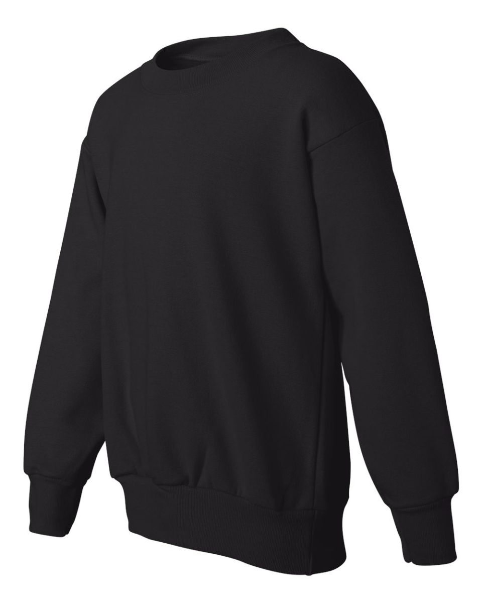 Hanes P360 - blankstyle.com