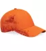 DRI DUCK 3270 Quail Cap front view