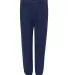 Russel Athletic 696HBM Dri Power® Closed Bottom Sweatpants Navy front view