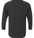 Next Level 6051 Unisex Tri-Blend 3/4 Sleeve Raglan in Vintage black/vintage black back view